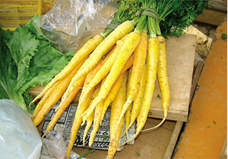 島にんじん