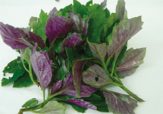 ハンダマ（パルダマ）