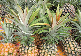 パイナップル