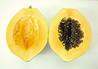 パパイヤ