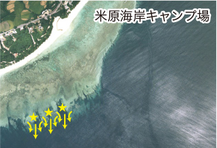 シュノーケリングをする時の注意