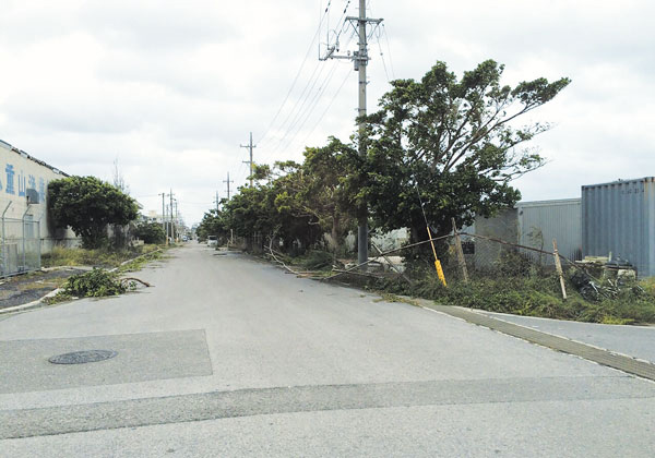 台風に遭遇してしまったら 画像2