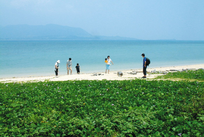 細崎海岸