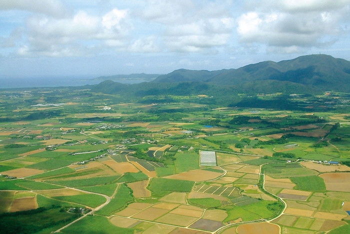 於茂登岳