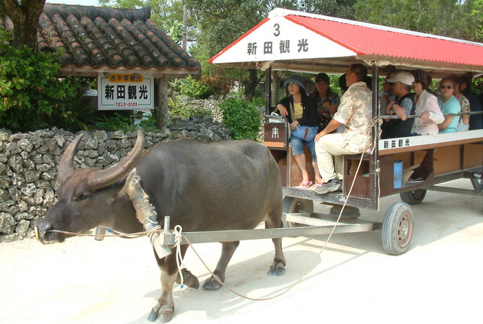 水牛車