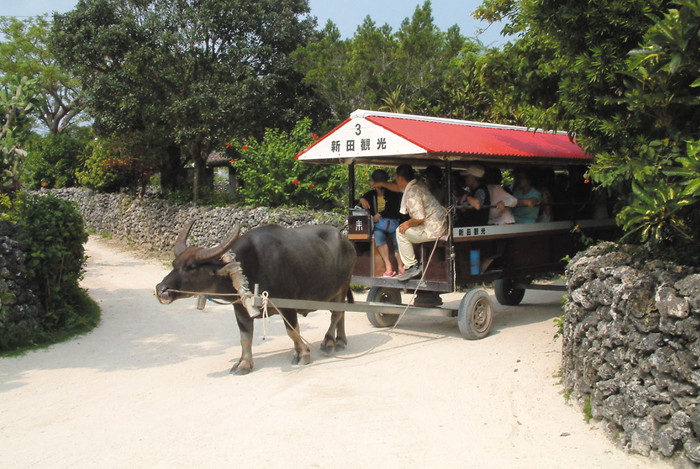 水牛車