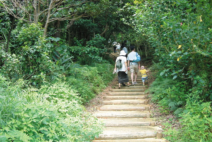 大岳展望台