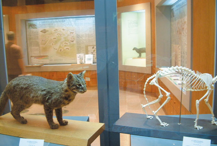 野生生物保護センター