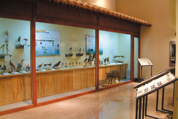 野生生物保護センター