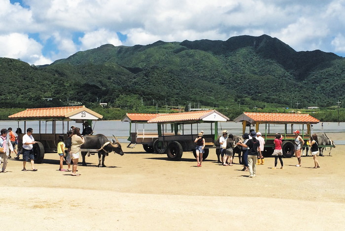 由布島水牛車