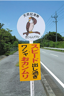 西表島　道路状況　画像1