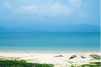 細崎（くばざき）海岸