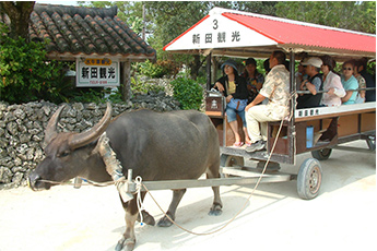 水牛車